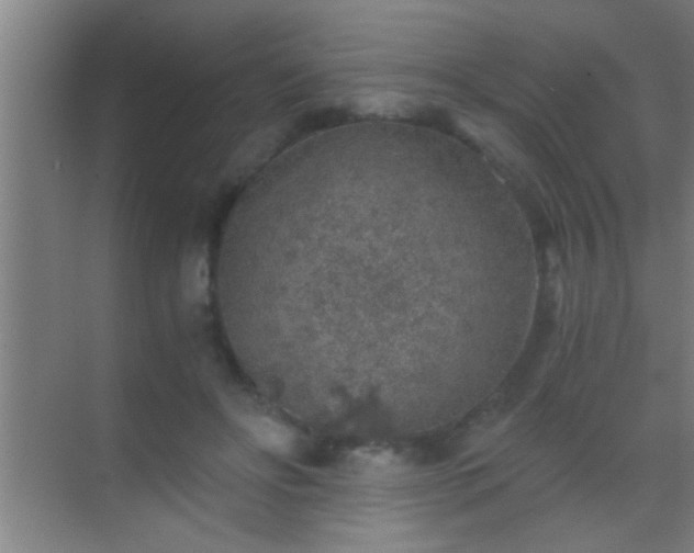 X0000069830502200605261844