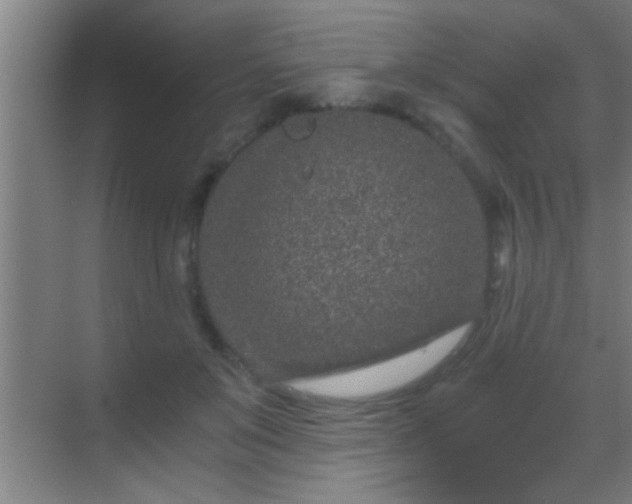 X0000069830503200605261844