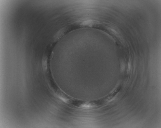 X0000069830504200605261844