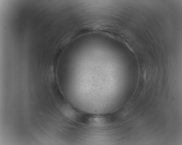 X0000069830506200605261844