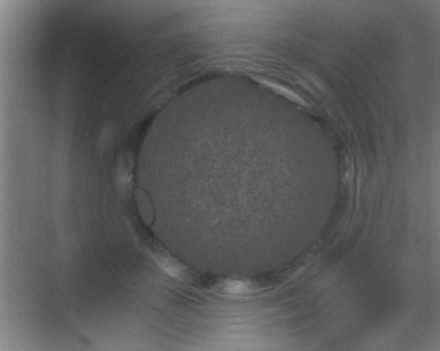 X0000069830507200605261844