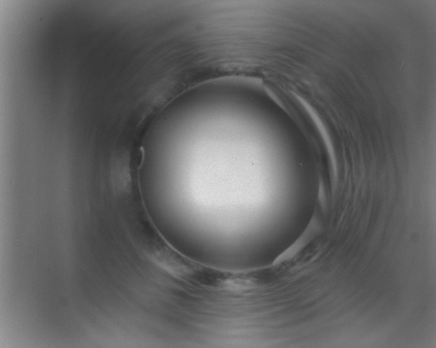 X0000069830508200605261844