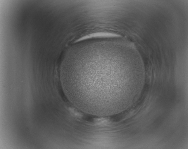 X0000069830511200605261844