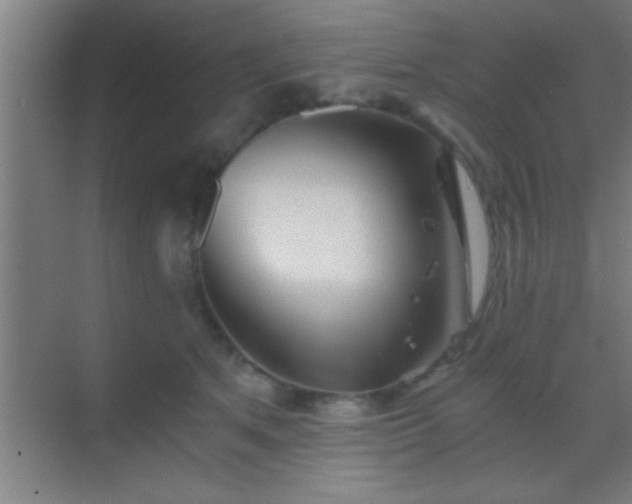 X0000069830513200605261844