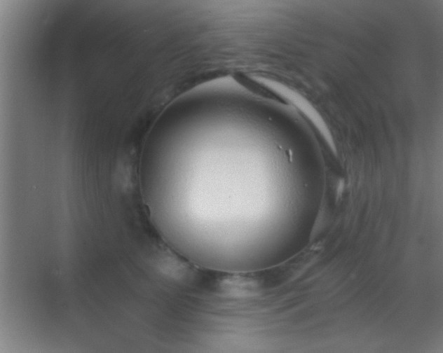 X0000069830515200605261844