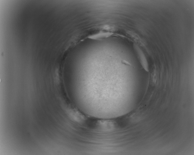 X0000069830520200605261844