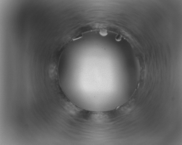 X0000069830521200605261844