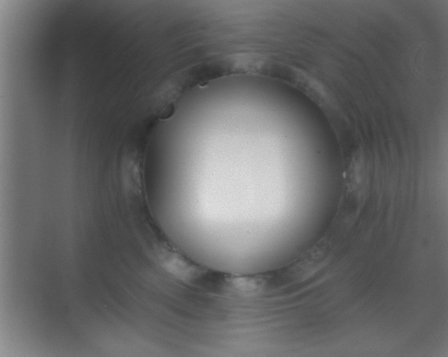 X0000069830522200605261844