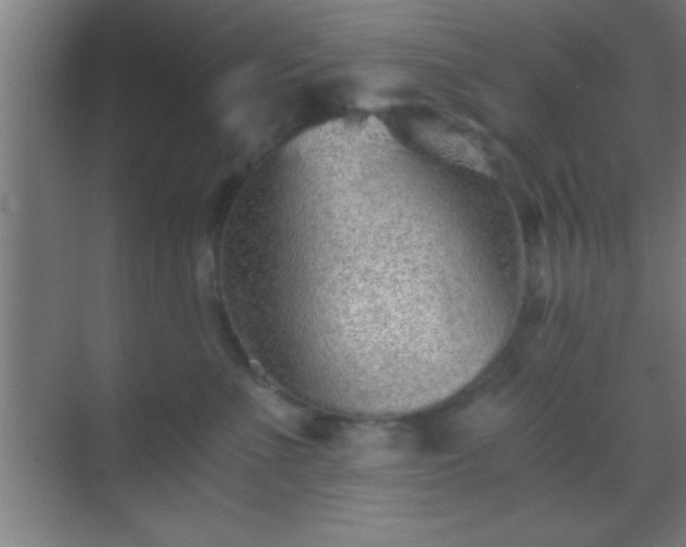 X0000069830523200605261844