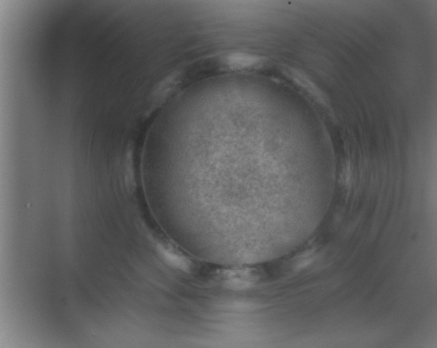 X0000069830524200605261844