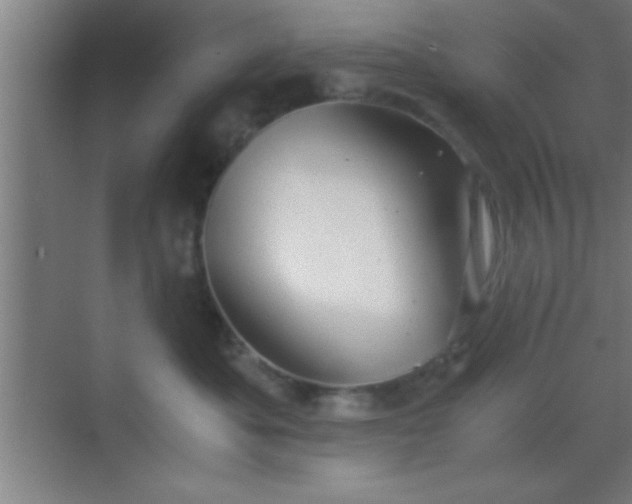 X0000069830525200605261844