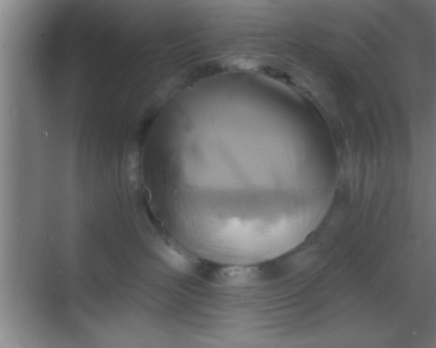 X0000069830526200605261844