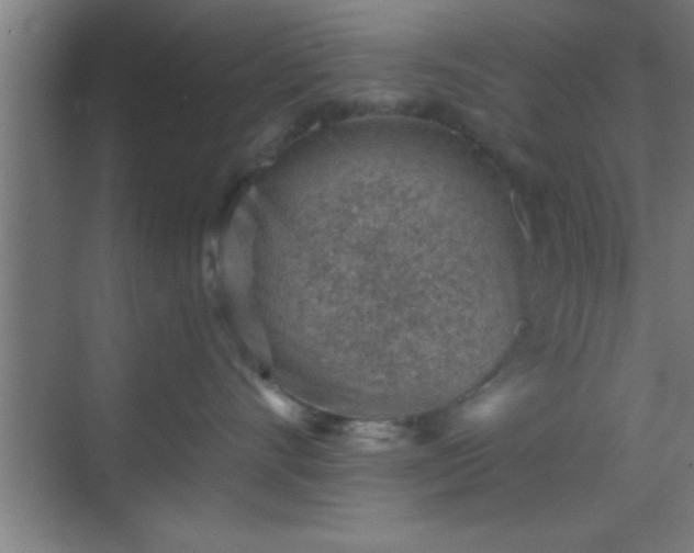 X0000069830528200605261844