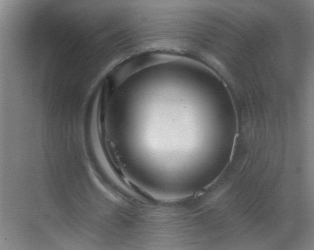 X0000069830530200605261843