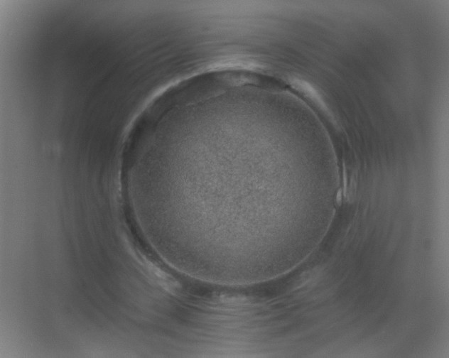 X0000069830531200605261843