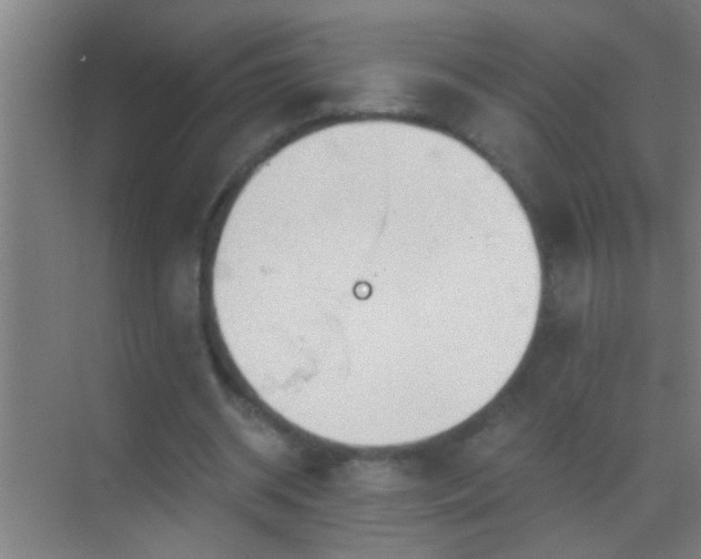 X0000069830534200605261843