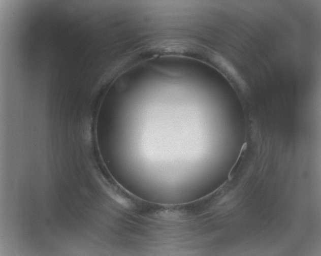 X0000069830537200605261843