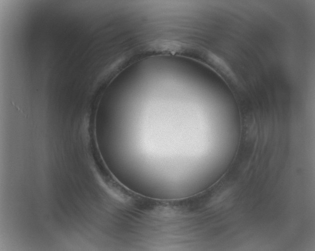 X0000069830538200605261843