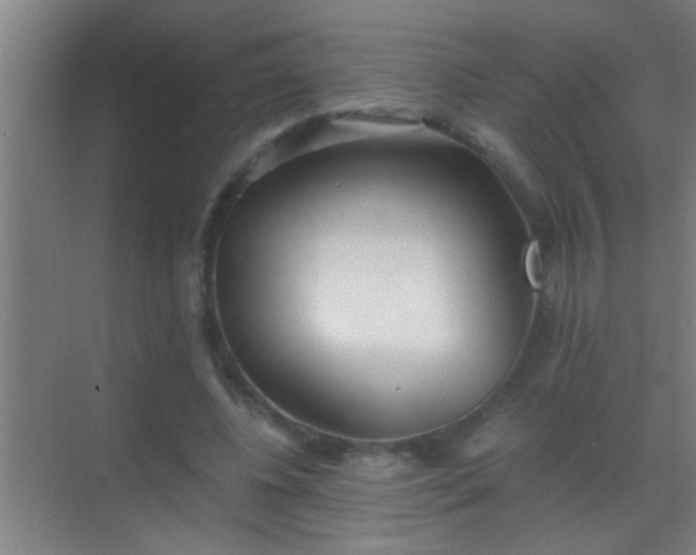 X0000069830540200605261843