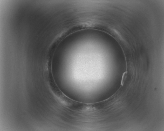 X0000069830543200605261843