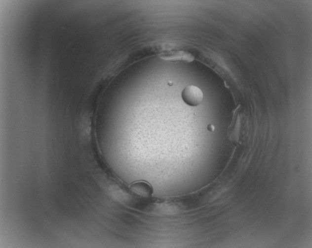 X0000069830545200605261843