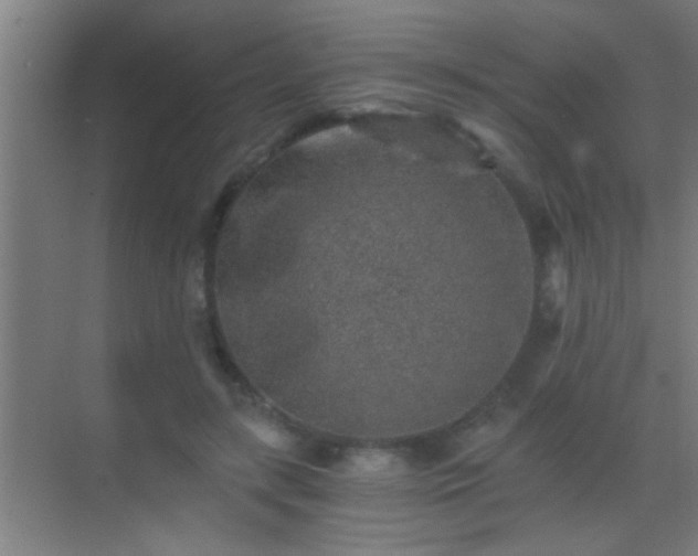 X0000069830547200605261843