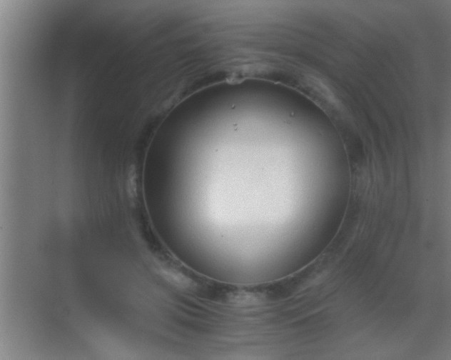 X0000069830549200605261844