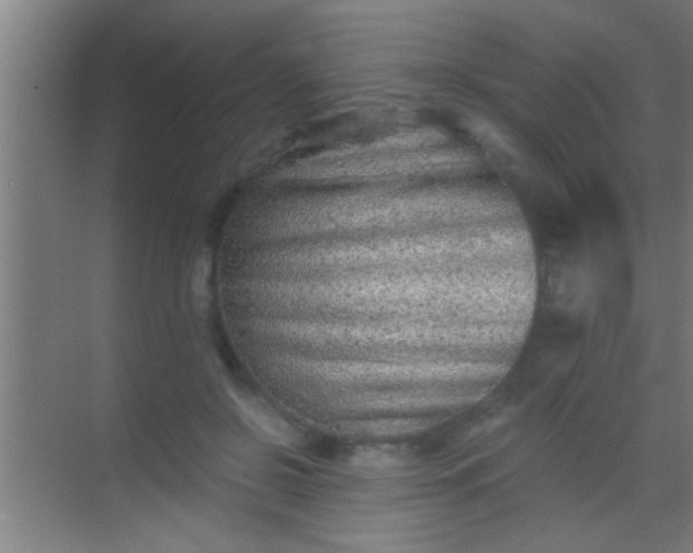 X0000069830550200605261844