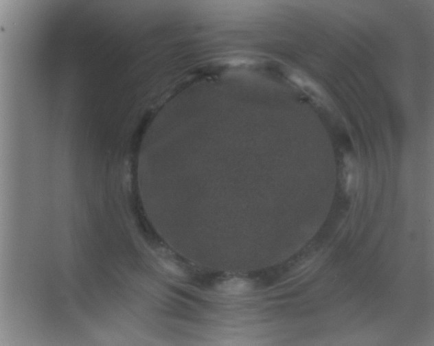 X0000069830551200605261844