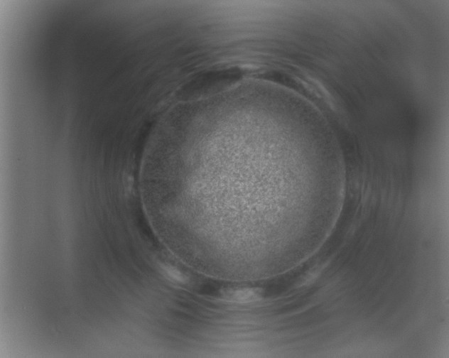 X0000069830553200605261844