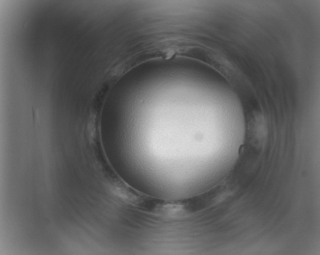 X0000069830554200605261844