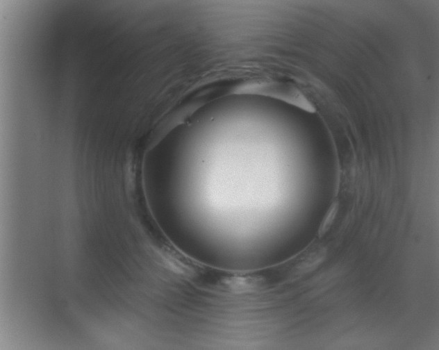 X0000069830558200605261844