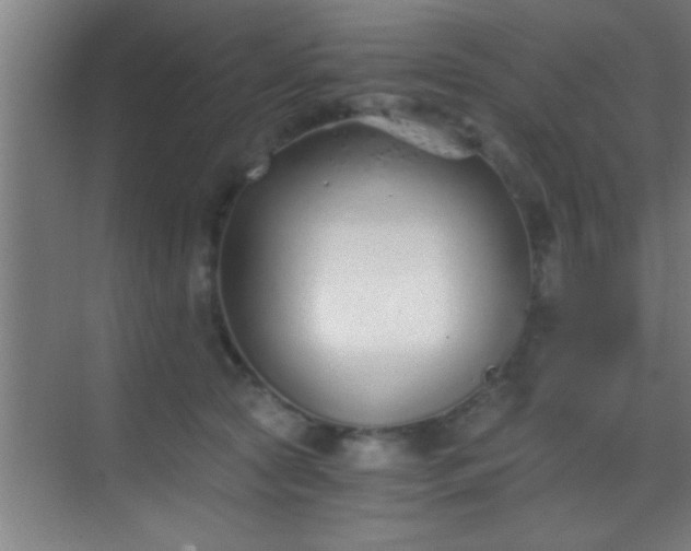 X0000069830561200605261844