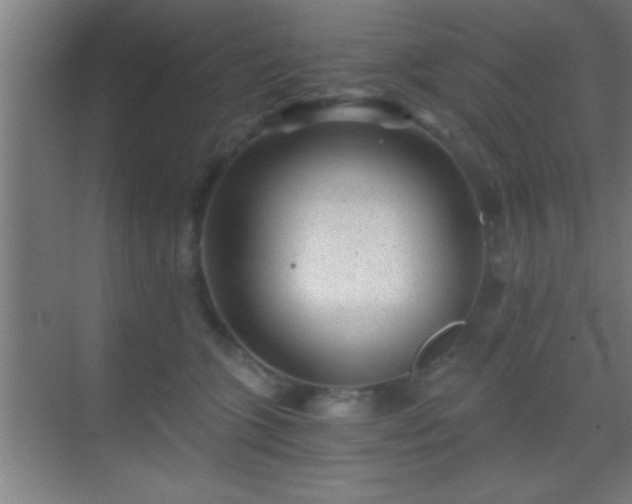 X0000069830563200605261844