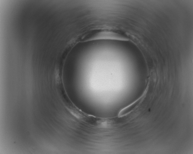 X0000069830564200605261844