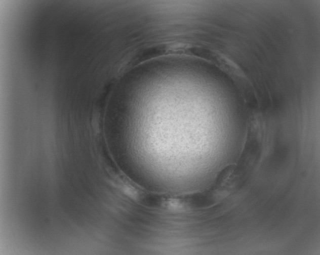 X0000069830565200605261844