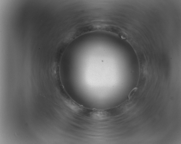 X0000069830567200605261844