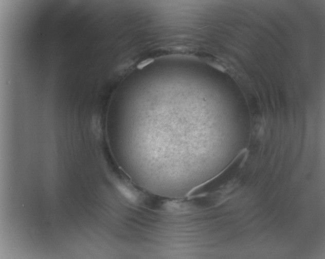 X0000069830568200605261844