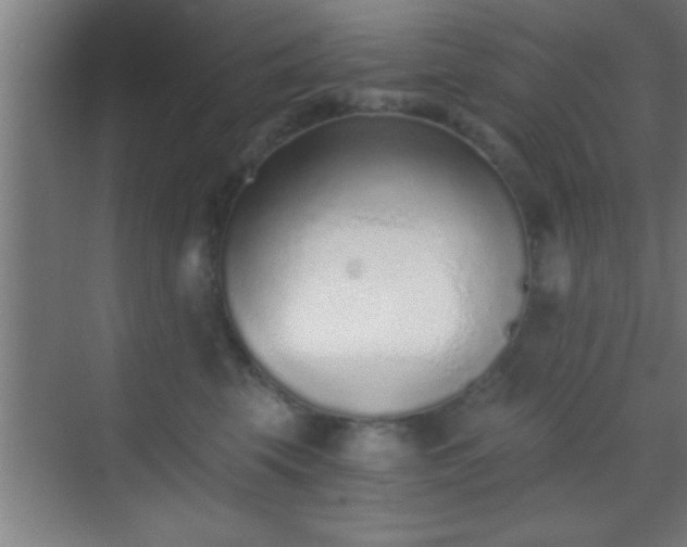 X0000069830569200605261844