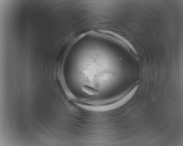 X0000069830570200605261844