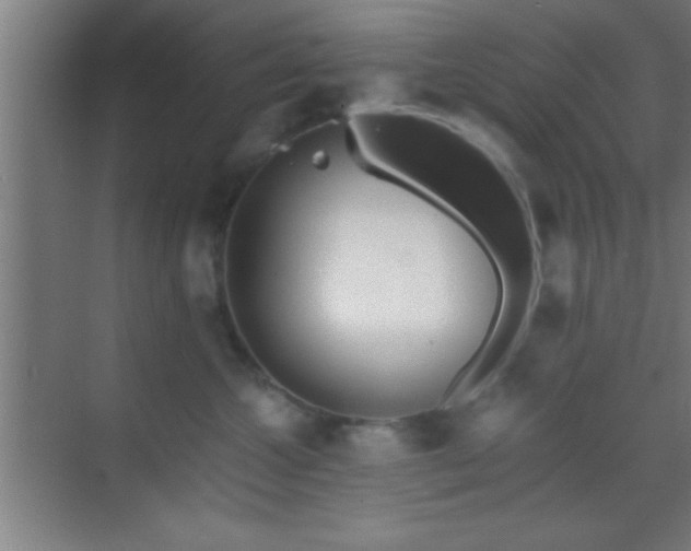 X0000069830572200605261844