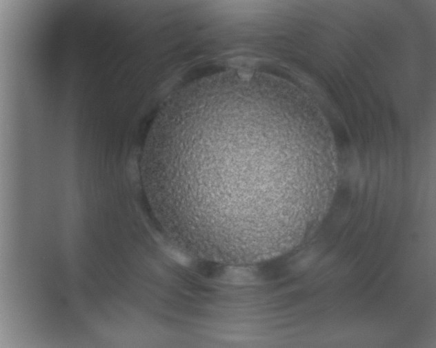 X0000069830573200605261844