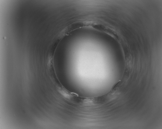 X0000069830574200605261844