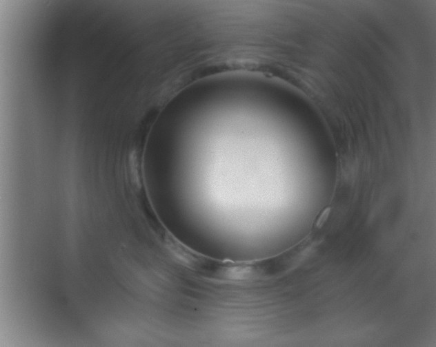 X0000069830575200605261844