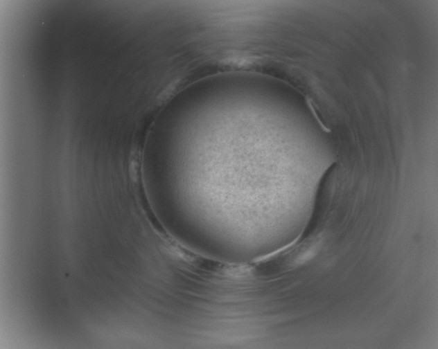 X0000069830576200605261844