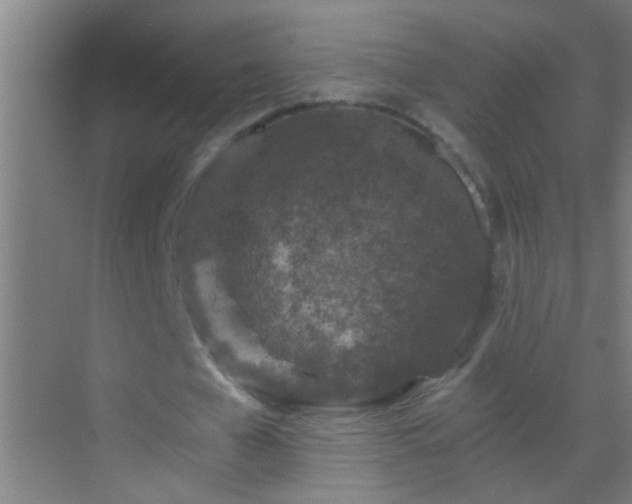 X0000069830577200605261843