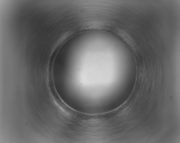 X0000069830578200605261843