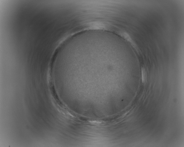 X0000069830579200605261843