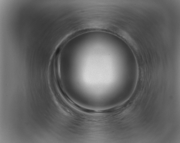 X0000069830580200605261843