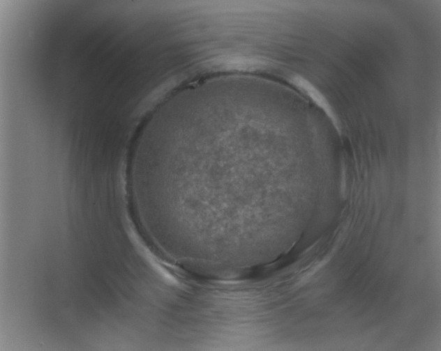 X0000069830581200605261843